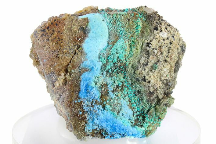 Vibrant Blue Cyanotrichite with Cubic Fluorite - China #277279